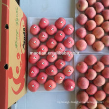 Fresh red fuji apple medium sizes